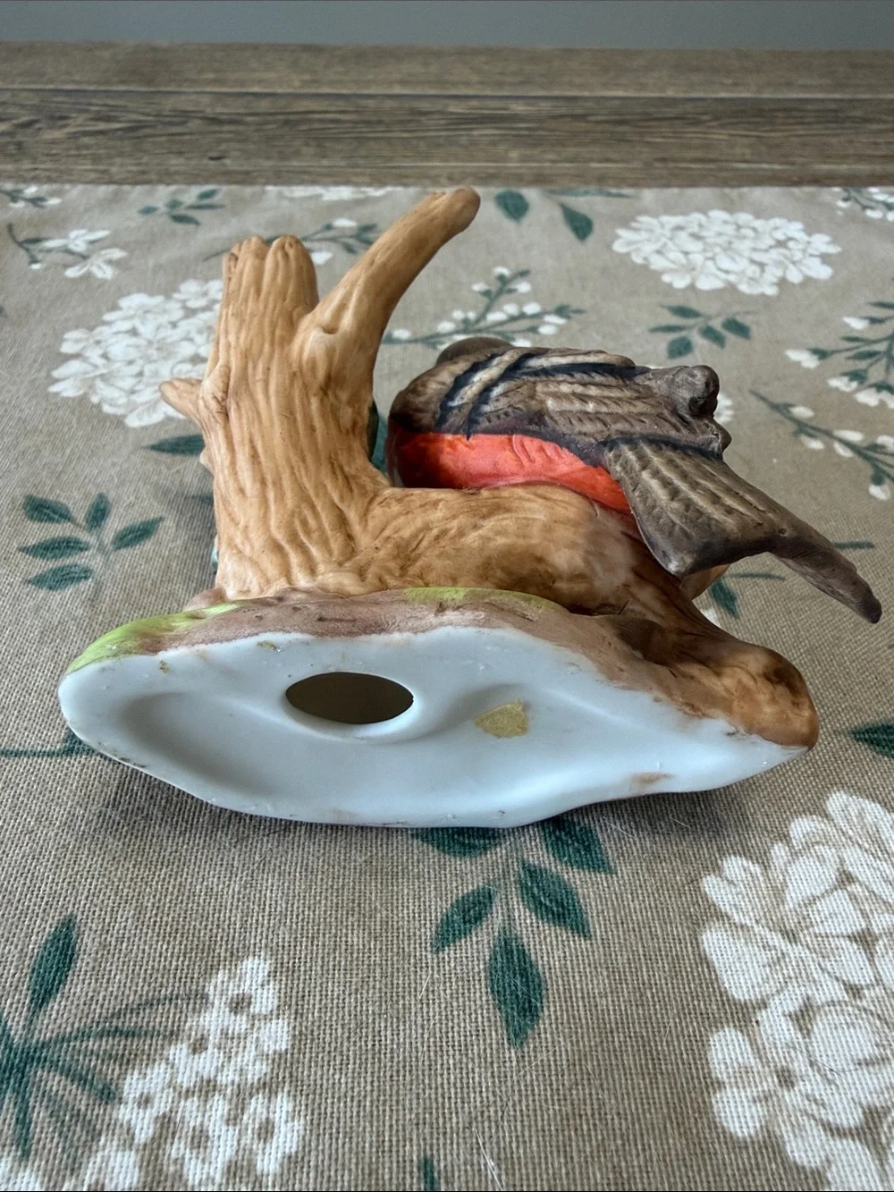 N/A attractive bird